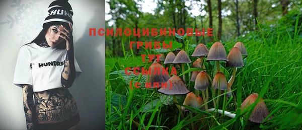 mix Белокуриха