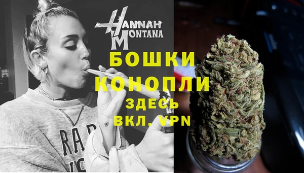 apvp Богданович