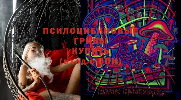 mix Белокуриха